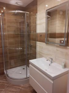 ein Bad mit einer Dusche, einem Waschbecken und einer Dusche in der Unterkunft Apartament na Strzeleckiej in Płock