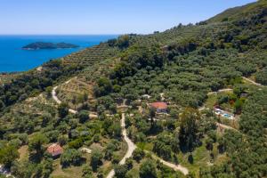 Táj Show holiday homes közelében