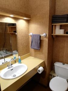 a bathroom with a sink and a toilet and a mirror at Studio LUPIN Eyne pied de pistes in Eyne