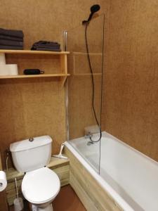 a bathroom with a white toilet and a bath tub at Studio LUPIN Eyne pied de pistes in Eyne