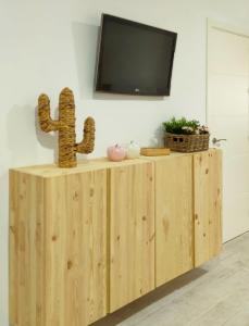 d'une armoire en bois avec une télévision. dans l'établissement Estudio céntrico, à Conil de la Frontera