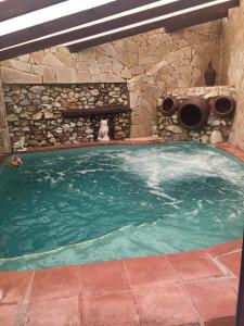 Бассейн в Villa Jardin piscina climatizada или поблизости