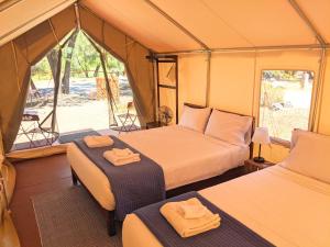 a hotel room with two beds and a tent at Wildhaven Sonoma Glamping in Healdsburg
