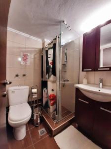 a bathroom with a toilet and a sink and a shower at Sweet Apartment in Thessaloniki