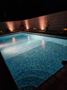 普罗塔拉斯Arcadia close的相册照片 更多35张照片