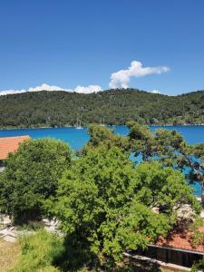 Φωτογραφία από το άλμπουμ του Apartments Dabelić σε Polace
