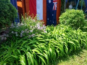 Gallery image of BUNGALÓ relax Terrace, GLAMPING FAHÁZ in Siófok
