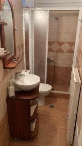 W łazience znajduje się umywalka, toaleta i prysznic. w obiekcie Ξύλο & Παράδοση w mieście Pavliani