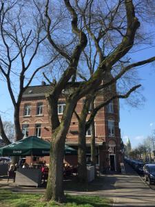 un grupo de árboles frente a un edificio en Chez Hélène Luxury BNB, en Maastricht