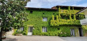 un edificio cubierto de hiedra verde en Altebas, en Nogaredo di Prato