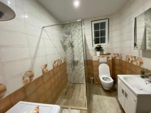 a bathroom with a shower and a toilet and a sink at Convini Bed & Bathroom Homestay in Prishtinë