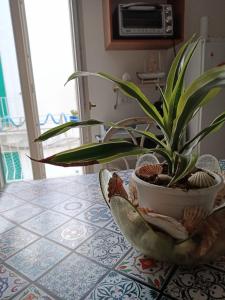 Fotografie z fotogalerie ubytování B&B U Mare Mio v destinaci Monopoli