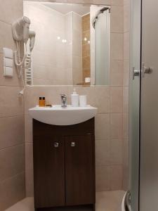 a bathroom with a sink and a mirror at Ośrodek Wypoczynkowy EDEN Maniowy in Maniowy