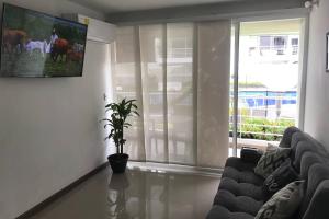 a living room with a couch and a potted plant at HERMOSO APARTA ESTUDIO en Melgar in Melgar
