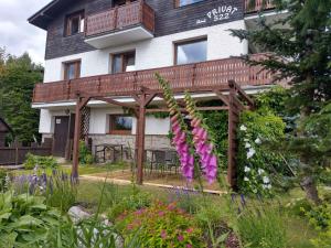 Vonkajšia záhrada v ubytovaní Apartment Harrachov - Riesengebirge 2400