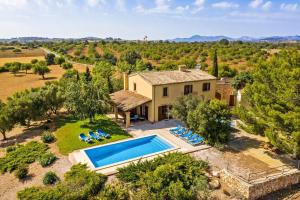 Bazén v ubytování Finca Vista Alegre nebo v jeho okolí