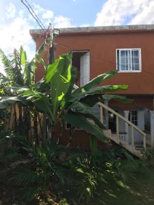 Fotografie z fotogalerie ubytování Quiet Escape Long Bay v destinaci Port Antonio