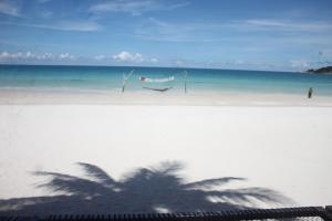 a palm tree on a beach with the ocean at Tommy Resort in Haad Rin