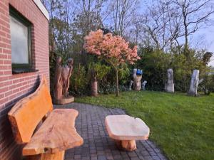 Private Logies Texel Woodart外面的花园
