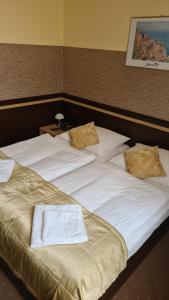 Postel nebo postele na pokoji v ubytování Hotel Čierny Orol