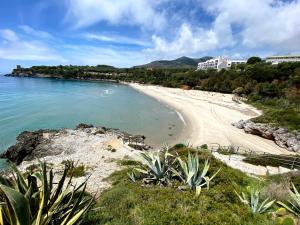 a view of a beach with trees and the ocean at B&b Kamaraton in Marina di Camerota