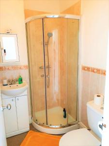 a shower in a bathroom with a toilet and a sink at Julian apartment center of London in London