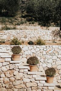 kamienna ściana z czterema roślinami w obiekcie Elia Luxury Suites w mieście Plataria