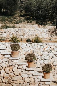Gallery image of Elia Luxury Suites in Plataria
