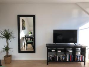 a living room with a tv and a mirror at Apartment in Uni- und Citynähe in Oldenburg
