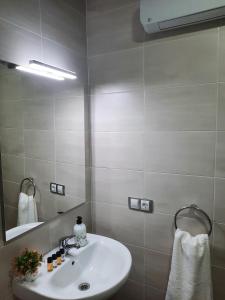 Apartamentos Clavero 10 في بلاسينثيا: حمام مع حوض ومرآة