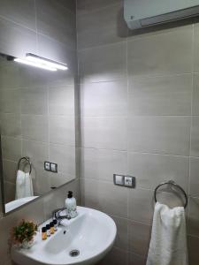 Koupelna v ubytování Apartamentos Clavero 10