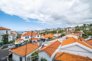 Gallery image of Green Apartment in Funchal