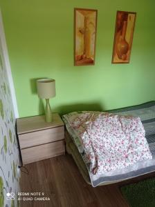 1 dormitorio con cama y mesita de noche con lámpara en Pokój w domku na mazurach ROGALE, en Stare Juchy