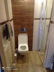 a small bathroom with a toilet and a shower at Pokój w domku na mazurach ROGALE in Stare Juchy