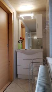 a bathroom with a sink and a mirror at Ferienwohnung Berndt in Meuselbach-Schwarzmühle