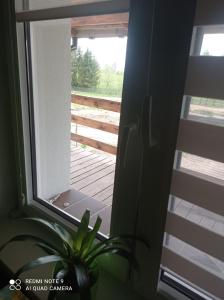a plant sitting next to a window with a fence at Pokój w domku na mazurach ROGALE in Stare Juchy