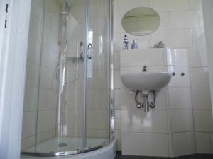 ein Bad mit einer Dusche und einem Waschbecken in der Unterkunft Ferienwohnung Seerose in Neppermin
