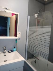 a bathroom with a shower and a sink at Grand studio au Grau-du-Roi proche Seaquarium et plage in Le Grau-du-Roi