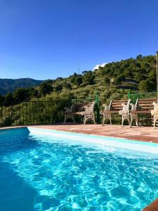 twee banken en een zwembad met blauw water bij Casa África in Canillas de Albaida