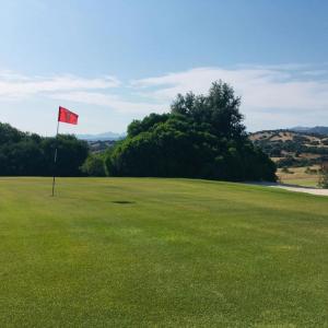 Foto dalla galleria di Hotel Botanic Golf SaCuba a Olbia