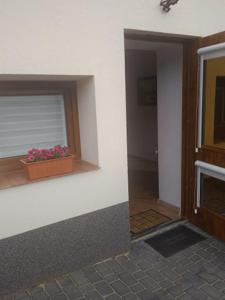 Una habitación con una ventana con una maceta de flores. en U Beaty, niezależne mieszkania do wynajęcia, en Ochotnica Górna