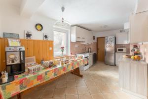a kitchen with a long counter in the middle at Hostel Mama Minka in Bohinj