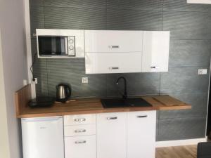 Kuchnia lub aneks kuchenny w obiekcie Leonia- Apartamenty i Pokoje Gościnne