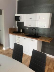 Kuchnia lub aneks kuchenny w obiekcie Leonia- Apartamenty i Pokoje Gościnne