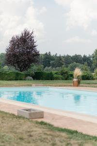 a swimming pool with blue water in a yard at Château du Domaine du Réveillon in Entrains-sur-Nohain
