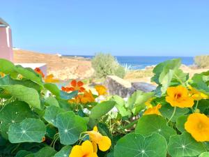 Gallery image of Lydia House by Elefthia Syros in Megas Yialos-Nites