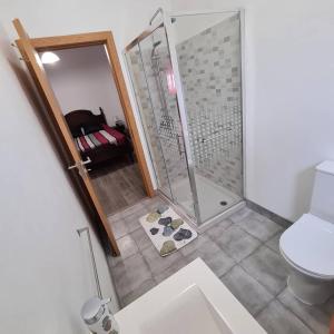 La salle de bains est pourvue d'une douche et de toilettes. dans l'établissement Caldas Relax & Leisure, à Caldas da Rainha
