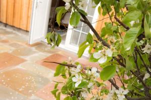 Zahrada ubytování Pear Tree Cottage