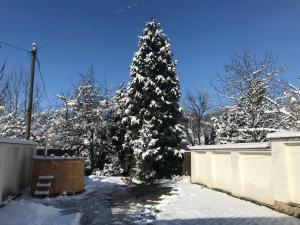 a christmas tree covered in snow in a yard at Aranykert Vendégház in Eger
