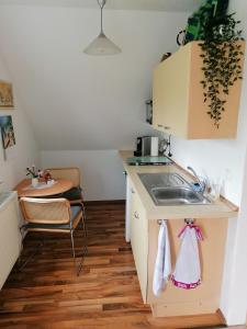 uma pequena cozinha com um lavatório e uma mesa em Nahe bei Störti em Ralswiek